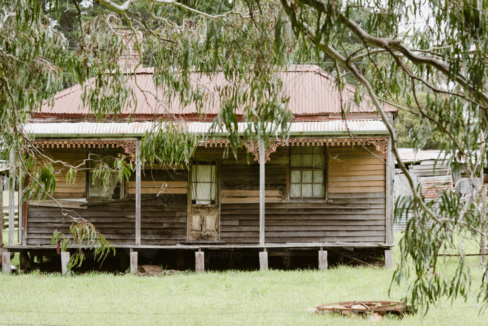 quaint old weatherboard farm cottage with gum trees in the foreground - Australian Stock Image