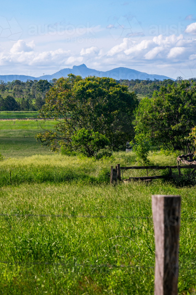 Queensland countryside with vibrant greenery and Mount Wollumbin in the background - Australian Stock Image