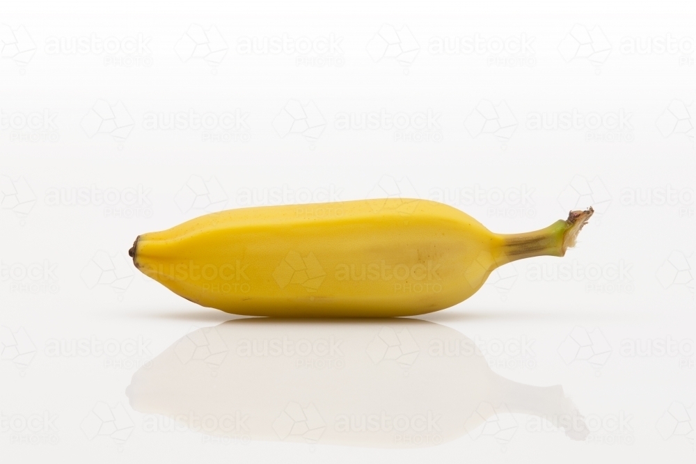 Image of Queensland Lady Finger banana, single banana on white