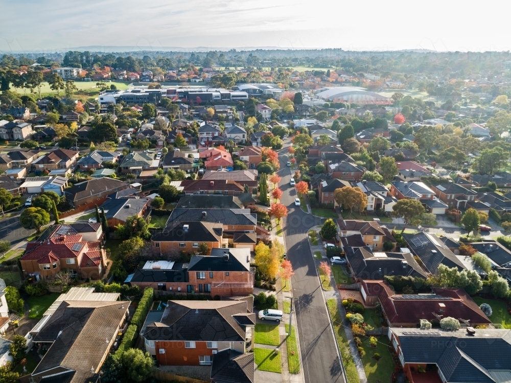 Quiet street lined with autumn trees in Vermont South city suburb of Melbourne housing affordability - Australian Stock Image