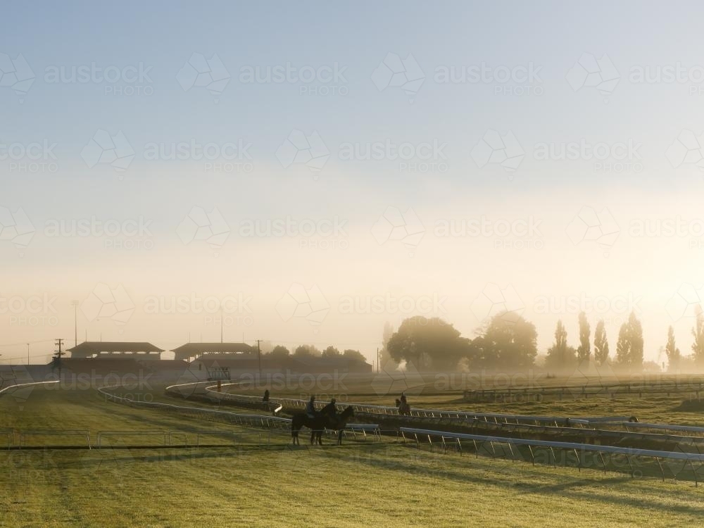Race horses training in early morning mist - Australian Stock Image