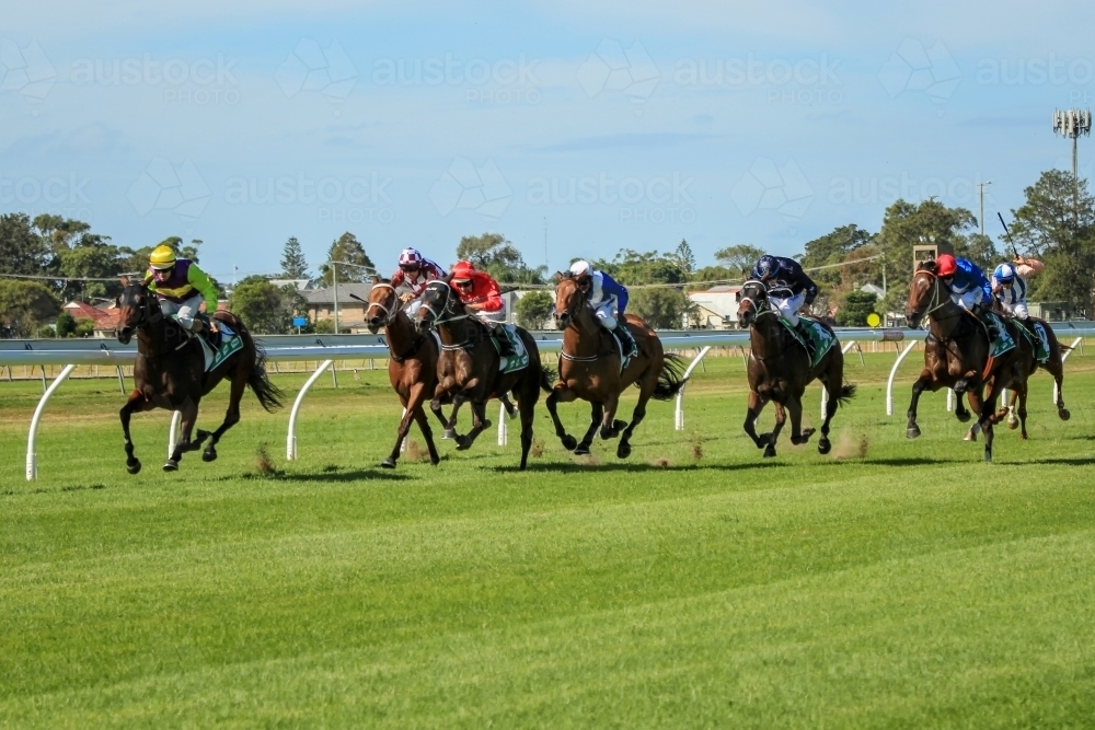 Image of Racehorses running race on turf track - Austockphoto