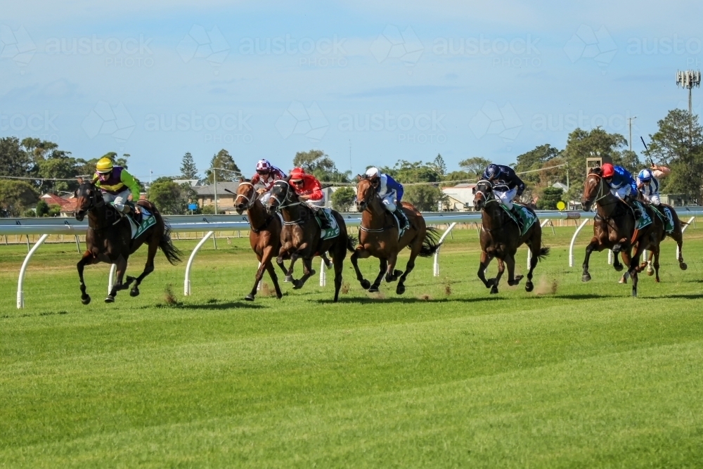 Racehorses running race on turf track - Australian Stock Image
