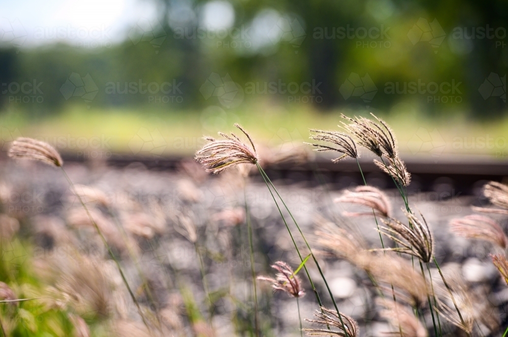 railtracks - Australian Stock Image