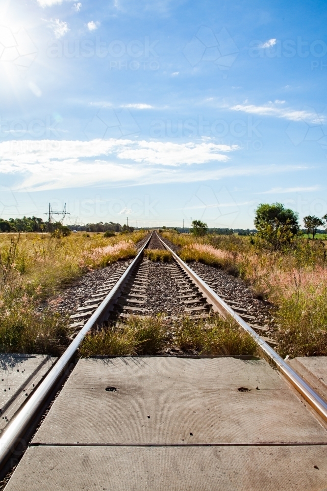 Railway, train line with grass growing over it on a sunlit day - Australian Stock Image