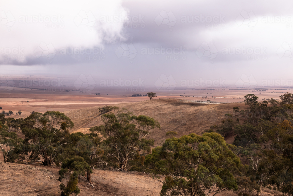 Rain clouds building up over drought affected fields, Clare Valley, South Australia - Australian Stock Image