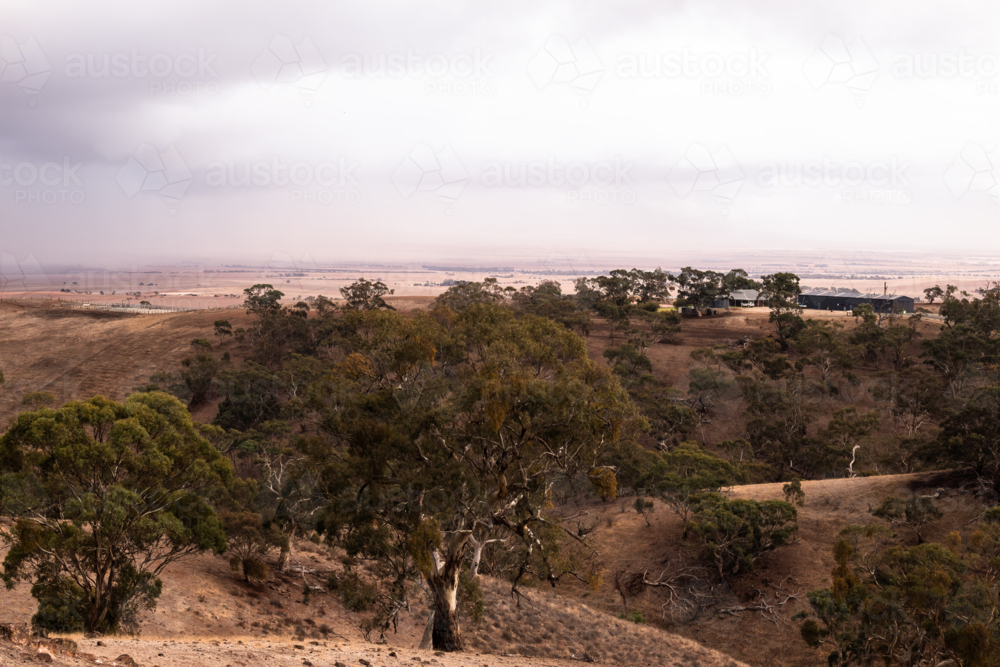 Rain clouds building up over drought affected fields, Clare Valley, South Australia - Australian Stock Image