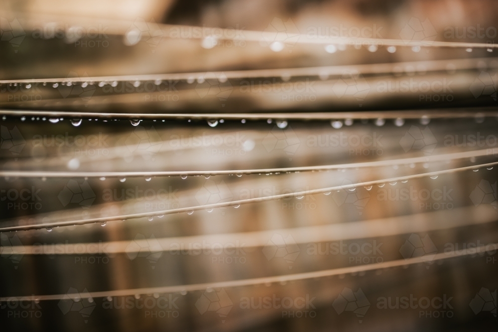 Rain drops on clothes line - Australian Stock Image