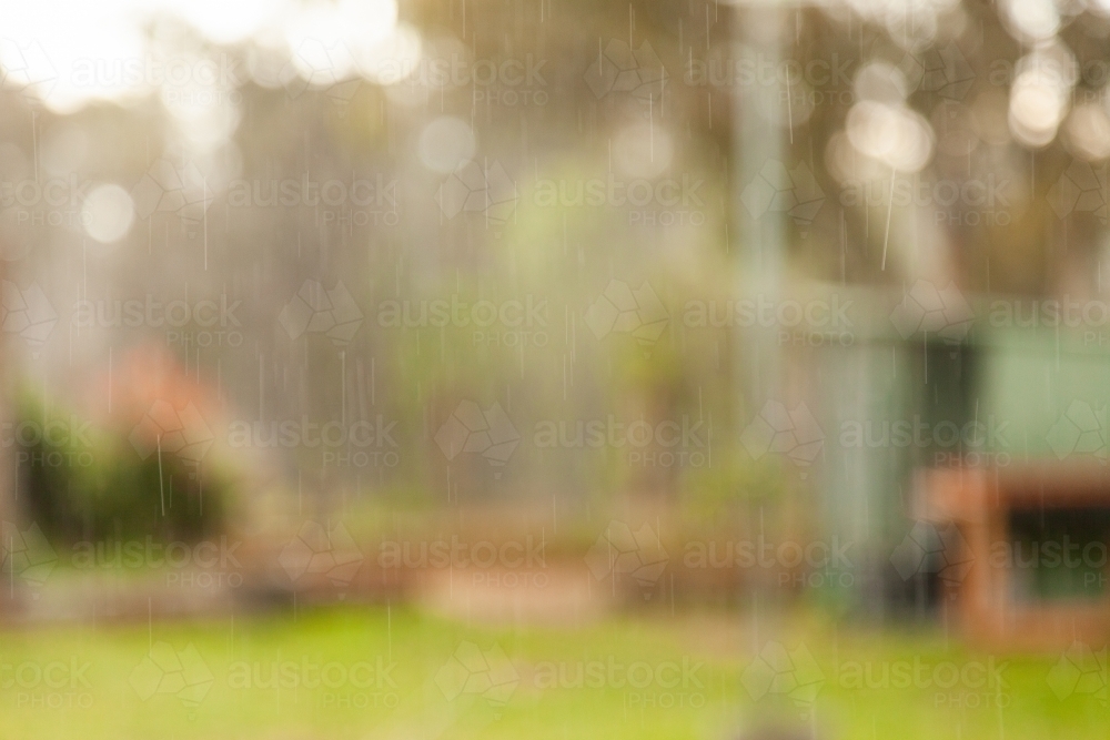 Rain falling in backyard - Australian Stock Image