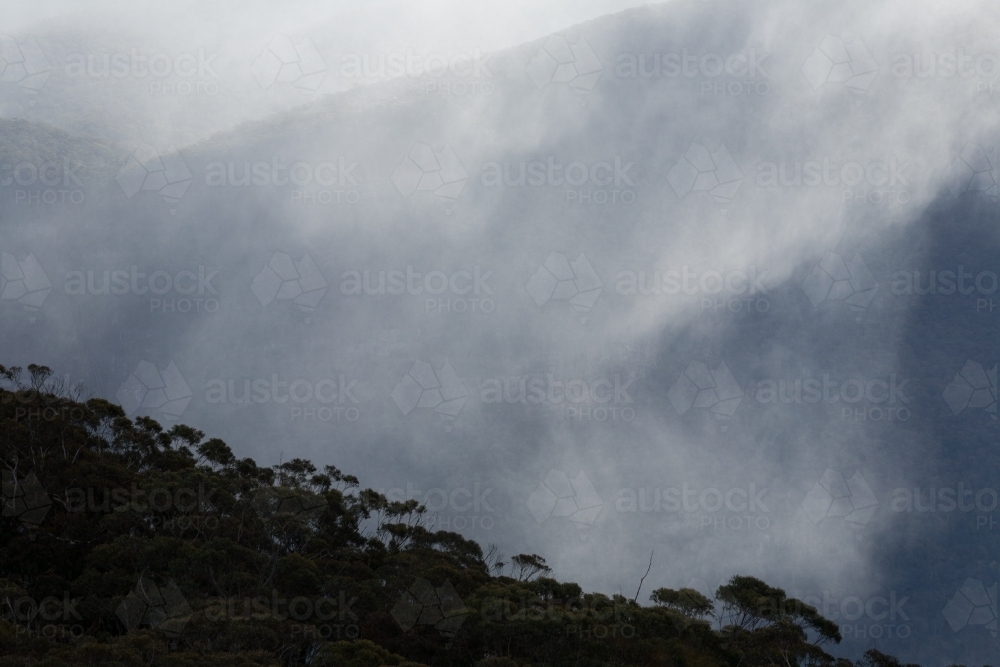 Rain Showers and mist over mountain ridges with treetops in foreground - Australian Stock Image