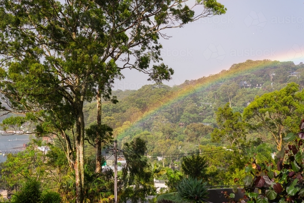 Image of rainbow amongst the gum trees Austockphoto