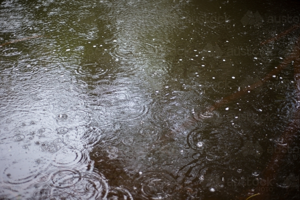 Raindrops making circular patterns on surface of river - Australian Stock Image