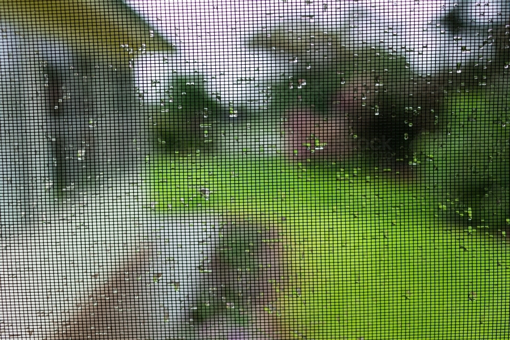 raindrops on fly screen gauze of rural houses veranda with garden out of focus behind - Australian Stock Image