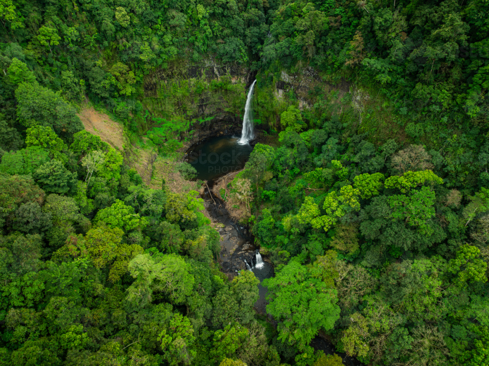 Rainforest waterfall, Nandroya Falls - Australian Stock Image
