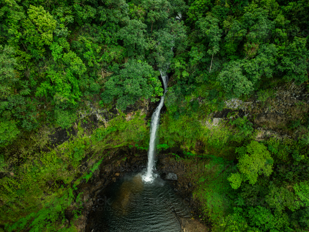 Rainforest waterfall, Nandroya Falls - Australian Stock Image