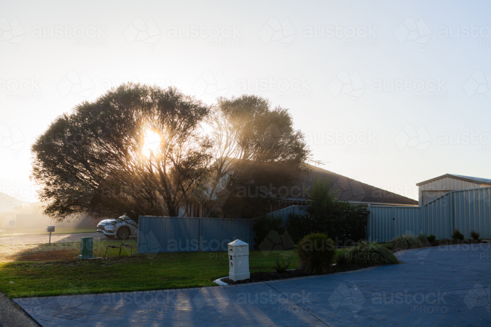 Rays of morning light streaming through mist between tree beside suburban home - Australian Stock Image