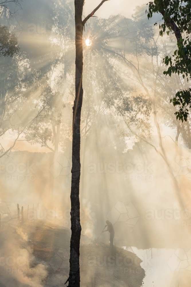 Rays of sunlight coming through trees and smoke from burning off in bushland at Campbell's Creek - Australian Stock Image