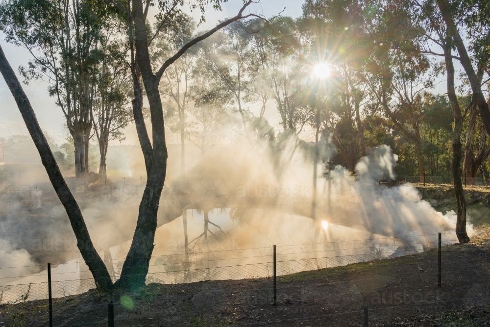 Rays of sunlight coming through trees and smoke from burning off in bushland at Campbell's Creek - Australian Stock Image
