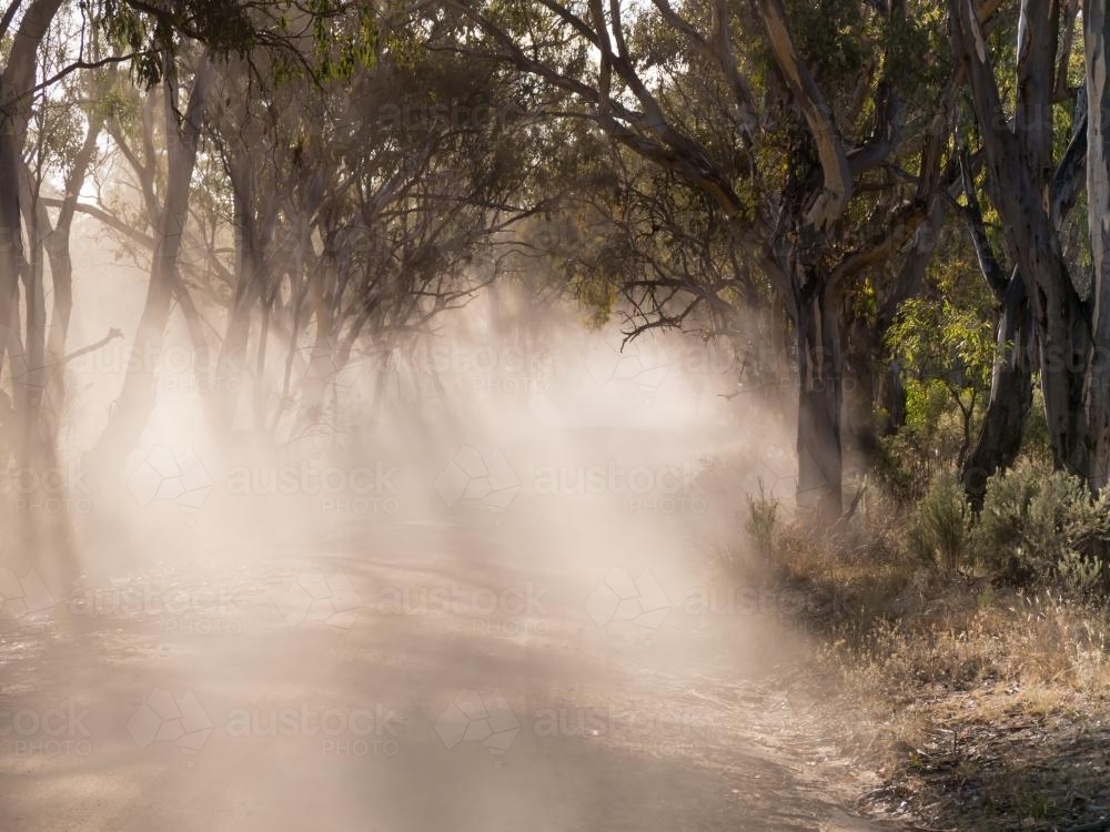 Rays of sunlight through gum trees and dust on a dirt road - Australian Stock Image