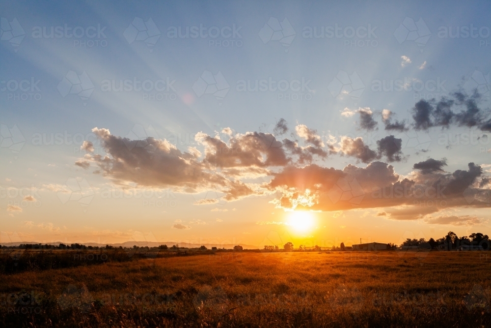 Rays of sunset light over golden grass in farm paddock - Australian Stock Image