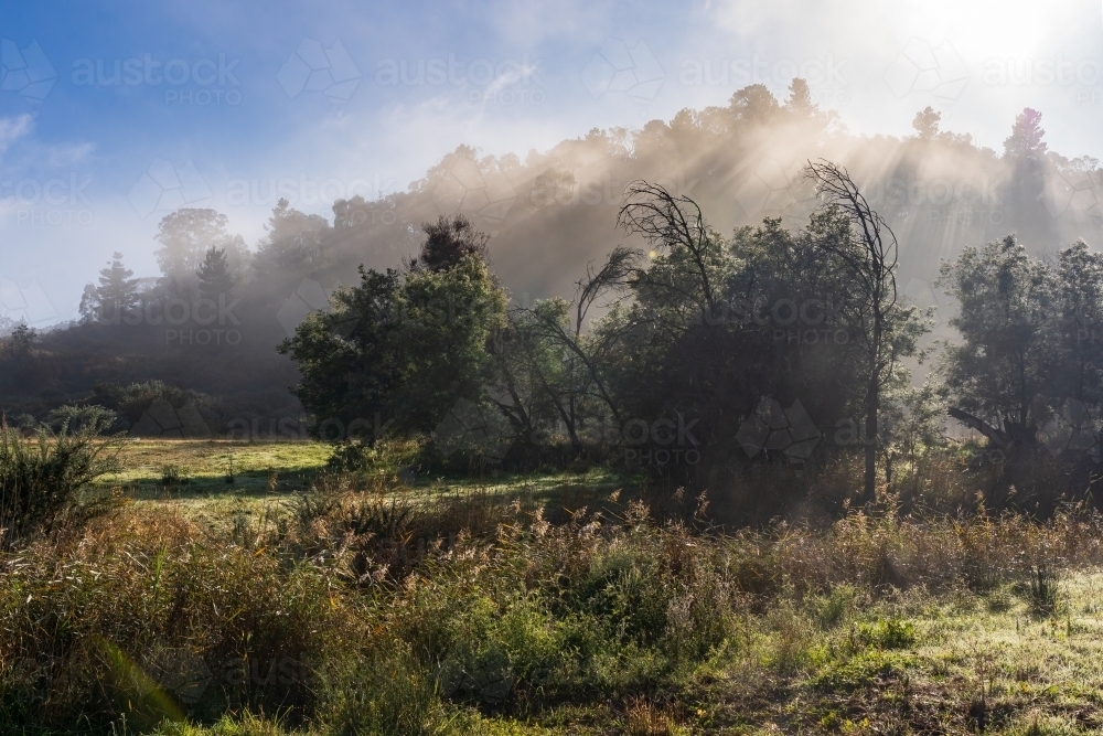 Rays of sunshine breaking through fog over a hill top - Australian Stock Image