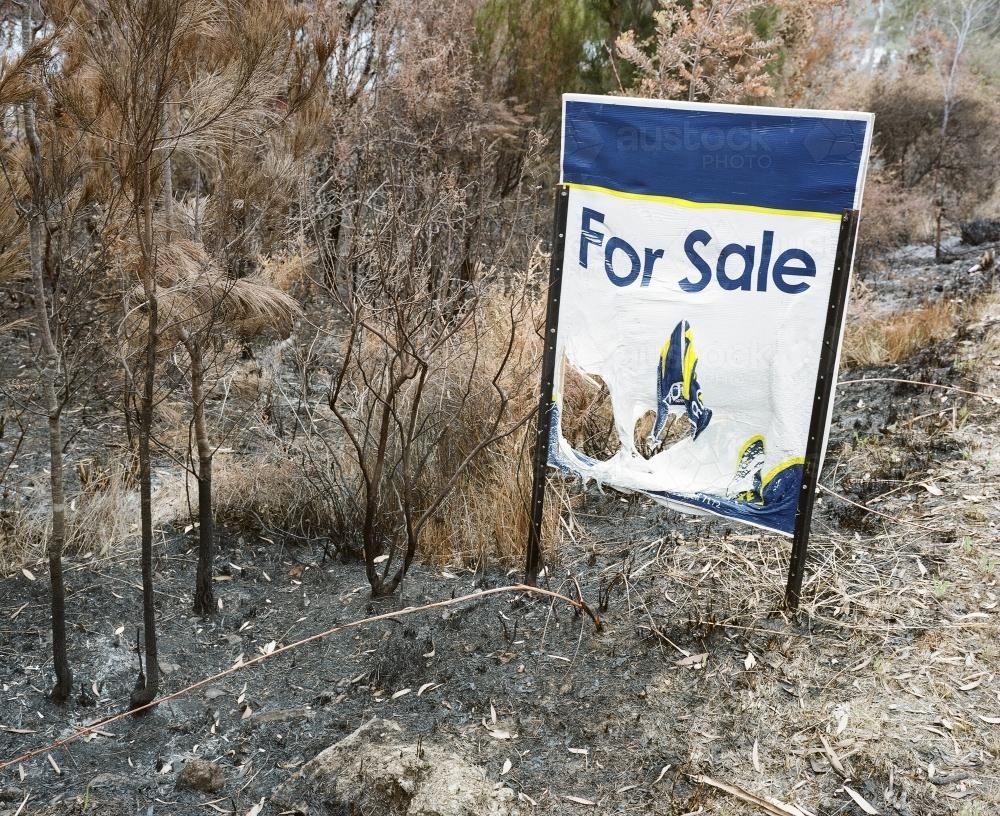 Real estate sign melted on bushfire scorched ground - Australian Stock Image