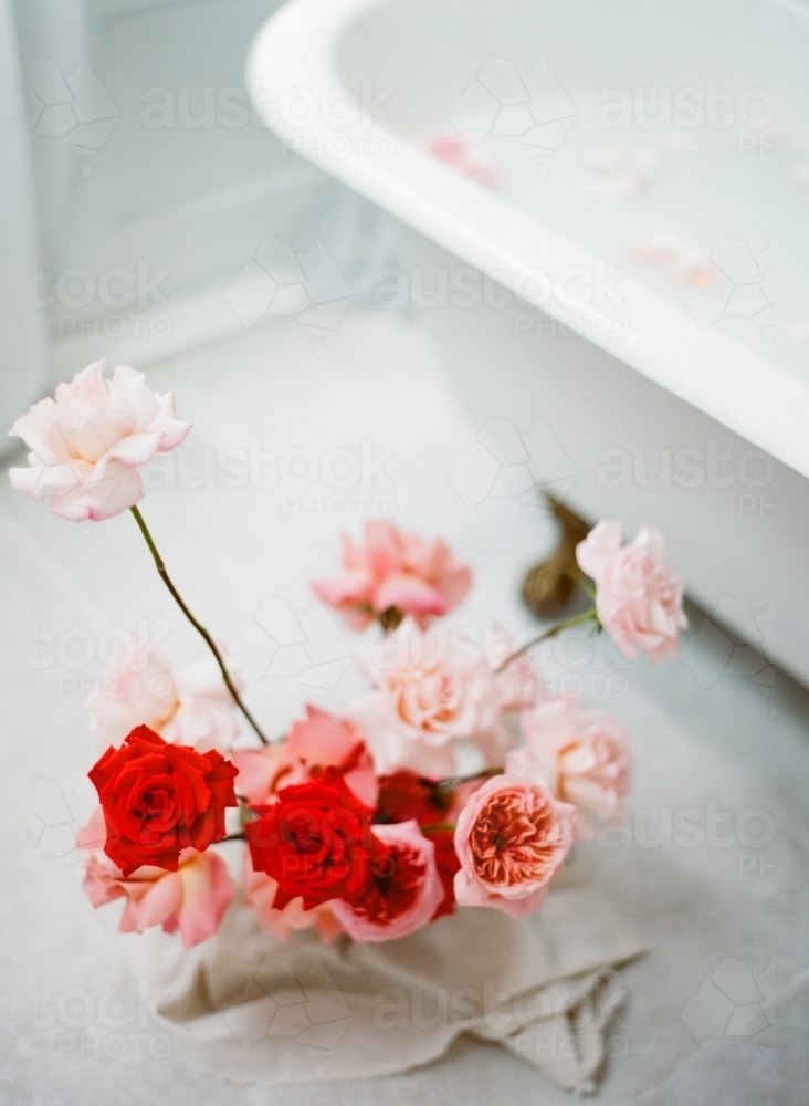 Red and pink roses by a french iron claw bath - Australian Stock Image