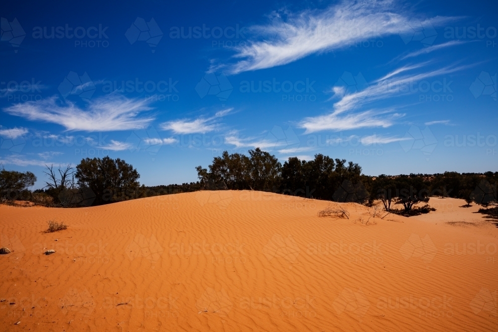 red desert sand under blue sky - Australian Stock Image