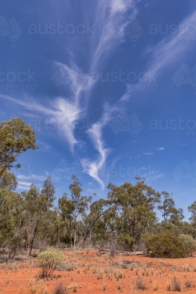 Red dirt, blue sky & white wispy clouds in Outback NSW bush scene - Australian Stock Image