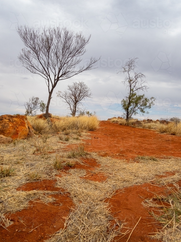 red dirt landscape with bare shrubs and cloudy sky - Australian Stock Image