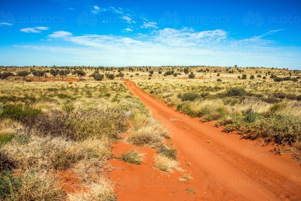 Red dirt road in the Northern Territory - Australian Stock Image