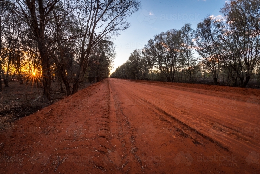 Red dirt road lined with trees in Australian outback - Australian Stock Image