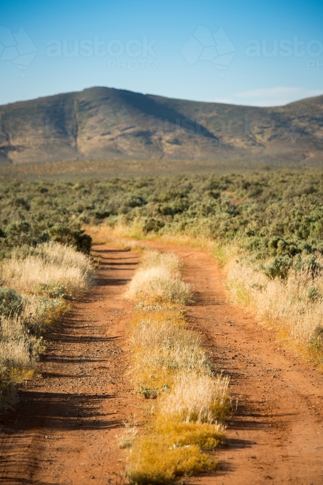 Red dirt road through green scrub leading to mountain in outback - Australian Stock Image