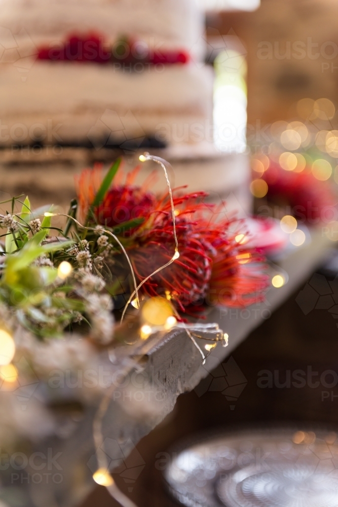 red protea plant with fairy lights as decor at a wedding - Australian Stock Image