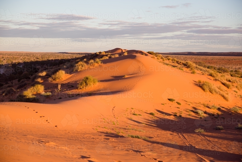Red sand dune in the Simpson Desert - Australian Stock Image
