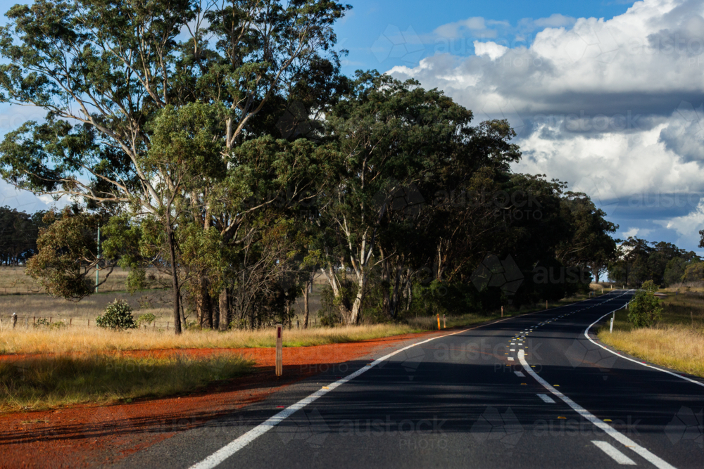 Red soil and eucalyptus trees beside highway in rural Australia - Australian Stock Image