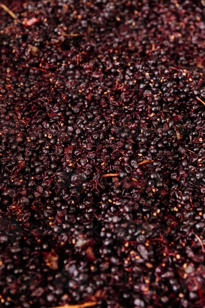 Red Wine Grapes fermenting - Australian Stock Image