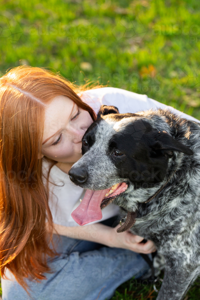 Redhead teen girl close to her old family pet Australian cattle dog - Australian Stock Image