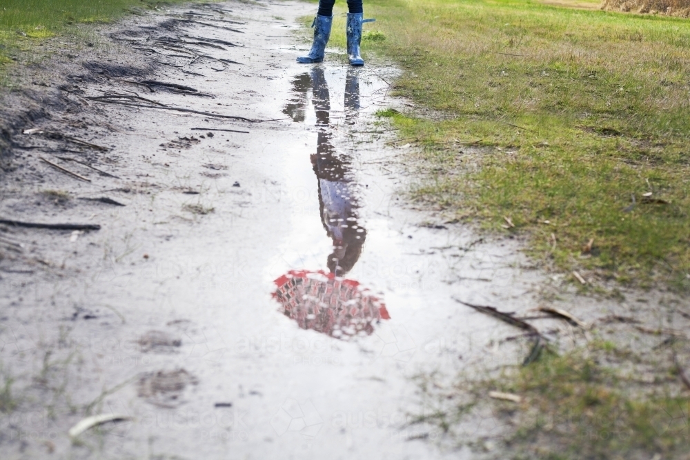 Image of Reflection in rain puddle - Austockphoto