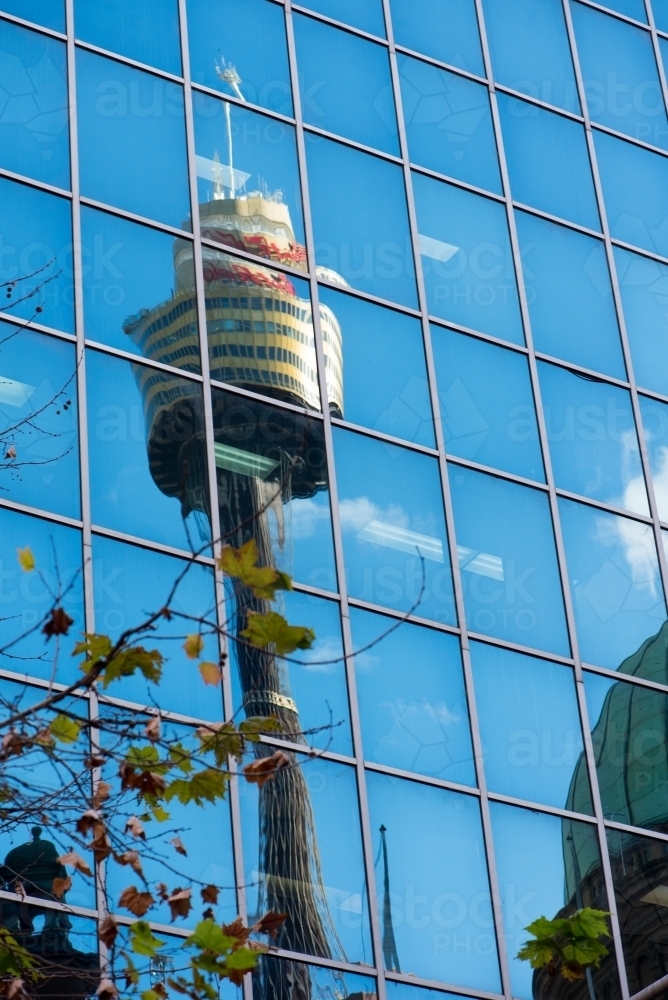 Reflection of Sydney Tower in glass building with branch - Australian Stock Image