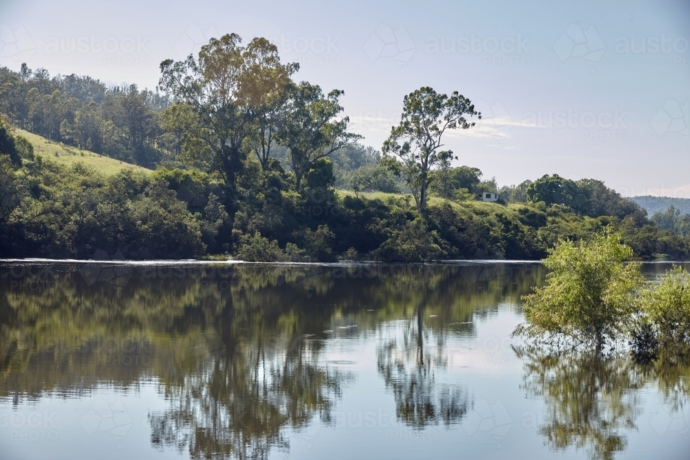 Image of Reflection of trees in river - Austockphoto