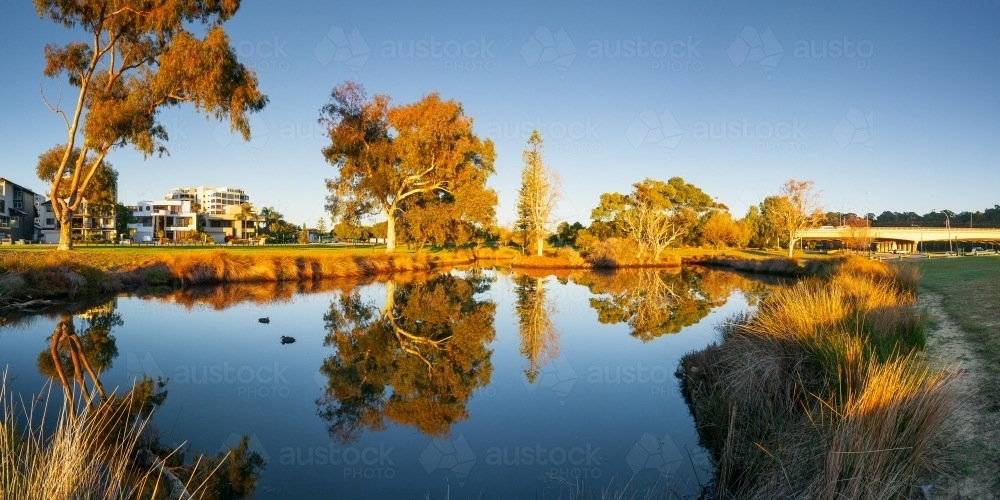Reflections of gum trees on a small  inner city lake - Australian Stock Image