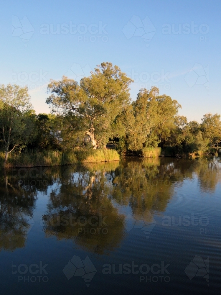 Reflections of trees on the Darling river, summertime dusk - Australian Stock Image