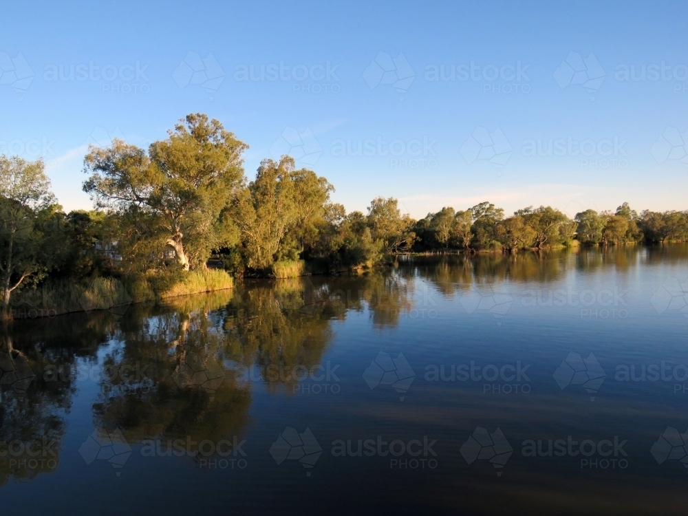 Reflections of trees on the Darling river, summertime dusk - Australian Stock Image