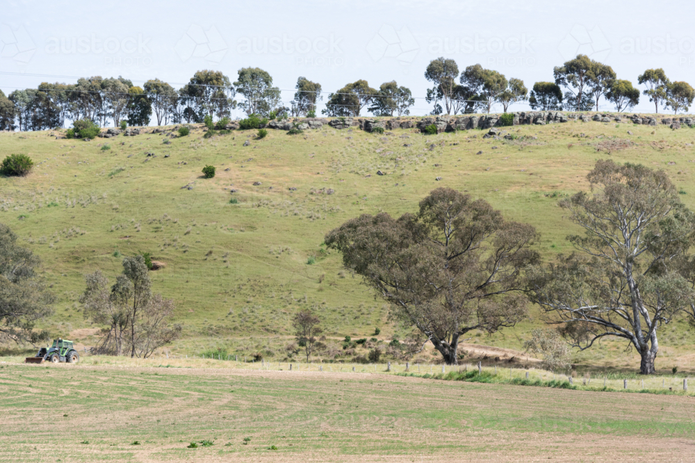 regional farming grassland with eucalypts and a tractor - Australian Stock Image