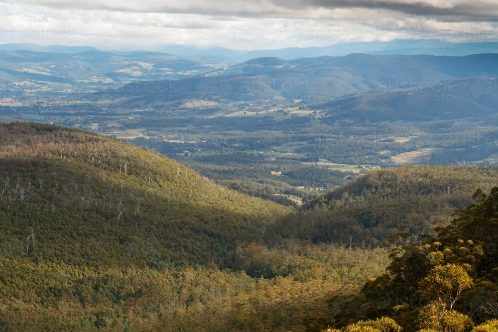Regional Tasmania, Forest View from Cathedral Rock - Australian Stock Image