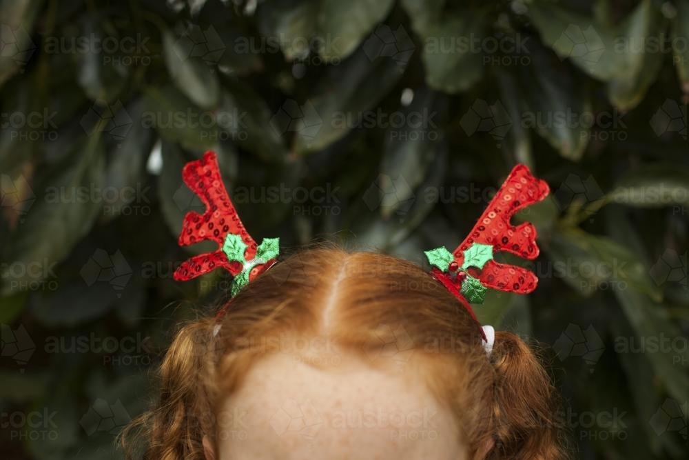 Reindeer antler hair clips - Australian Stock Image
