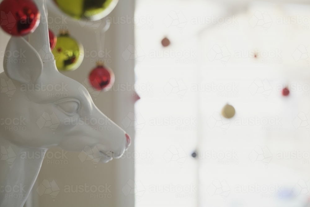 Reindeer stag head on wall at Christmas - Australian Stock Image