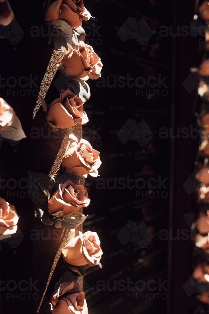 Remembrance roses for miners that have perished in Broken Hill, NSW - Australian Stock Image