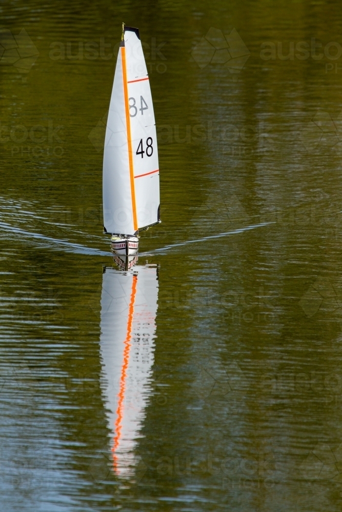 Remote controlled yacht sailing on a suburban lake. - Australian Stock Image